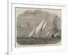 Regatta of the Lisbon Royal Yacht Club-null-Framed Giclee Print