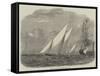 Regatta of the Lisbon Royal Yacht Club-null-Framed Stretched Canvas