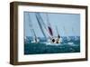 Regatta-null-Framed Art Print