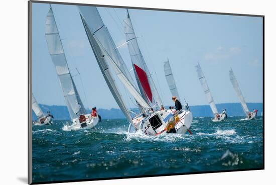 Regatta-null-Mounted Art Print