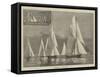 Regattas on the Clyde-null-Framed Stretched Canvas