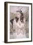 Regency Bride-Winter Wolf-Framed Photographic Print