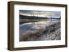 Regenerating Trees Reflected in a Frosty and Misty Lewis River-Eleanor-Framed Photographic Print