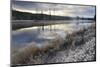 Regenerating Trees Reflected in a Frosty and Misty Lewis River-Eleanor-Mounted Photographic Print