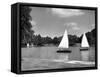 Regent's Park Lake-Fred Musto-Framed Stretched Canvas