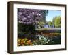 Regent's Park, London, England, United Kingdom, Europe-Ethel Davies-Framed Photographic Print