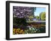 Regent's Park, London, England, United Kingdom, Europe-Ethel Davies-Framed Photographic Print