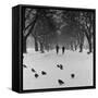 Regent's Park, London. Pigeons on a Snowy Path with People Walking Away Through an Avenue of Trees-John Gay-Framed Stretched Canvas