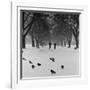 Regent's Park, London. Pigeons on a Snowy Path with People Walking Away Through an Avenue of Trees-John Gay-Framed Photographic Print
