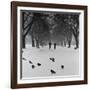 Regent's Park, London. Pigeons on a Snowy Path with People Walking Away Through an Avenue of Trees-John Gay-Framed Photographic Print