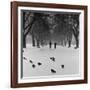 Regent's Park, London. Pigeons on a Snowy Path with People Walking Away Through an Avenue of Trees-John Gay-Framed Photographic Print