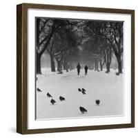 Regent's Park, London. Pigeons on a Snowy Path with People Walking Away Through an Avenue of Trees-John Gay-Framed Photographic Print