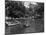 Regent's Park Pond-null-Mounted Photographic Print