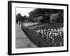 Regent's Park Tulips-Fred Musto-Framed Photographic Print