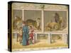 Regent's Park Zoo London Visitors Admire Lions Tigers and Other Cats-null-Stretched Canvas