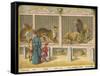 Regent's Park Zoo London Visitors Admire Lions Tigers and Other Cats-null-Framed Stretched Canvas