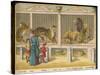 Regent's Park Zoo London Visitors Admire Lions Tigers and Other Cats-null-Stretched Canvas