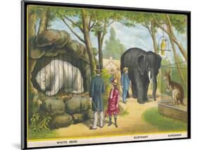 Regent's Park Zoo London Visitors Admire the White Bear the Elephant and the Kangaroo-null-Mounted Art Print