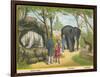 Regent's Park Zoo London Visitors Admire the White Bear the Elephant and the Kangaroo-null-Framed Art Print