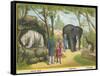 Regent's Park Zoo London Visitors Admire the White Bear the Elephant and the Kangaroo-null-Framed Stretched Canvas