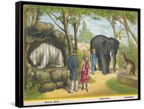 Regent's Park Zoo London Visitors Admire the White Bear the Elephant and the Kangaroo-null-Framed Stretched Canvas