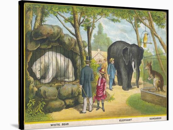 Regent's Park Zoo London Visitors Admire the White Bear the Elephant and the Kangaroo-null-Stretched Canvas
