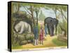 Regent's Park Zoo London Visitors Admire the White Bear the Elephant and the Kangaroo-null-Stretched Canvas