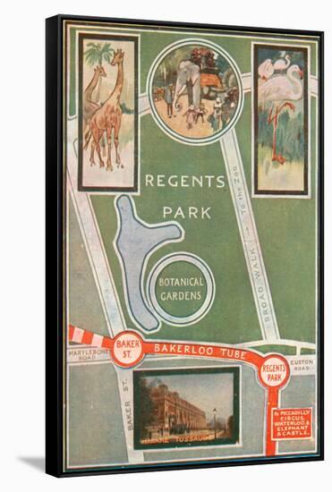 Regents Park and Botanical Gardens, Showing Local Railway Stations-null-Framed Stretched Canvas