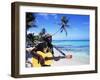 Reggae Singer with Guitar on Beach, Sainte Anne, Guadeloupe-Bill Bachmann-Framed Premium Photographic Print