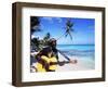 Reggae Singer with Guitar on Beach, Sainte Anne, Guadeloupe-Bill Bachmann-Framed Photographic Print