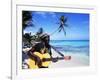 Reggae Singer with Guitar on Beach, Sainte Anne, Guadeloupe-Bill Bachmann-Framed Photographic Print