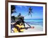 Reggae Singer with Guitar on Beach, Sainte Anne, Guadeloupe-Bill Bachmann-Framed Photographic Print