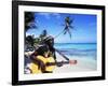 Reggae Singer with Guitar on Beach, Sainte Anne, Guadeloupe-Bill Bachmann-Framed Photographic Print