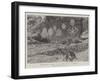 Regimental Crests Cut in the Rock at Cherat-null-Framed Giclee Print