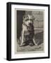 Regimental Pets, Pokeno, Dog of the 50th Regiment, a New Zealand Hero-null-Framed Giclee Print