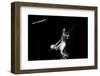 Regina Carter, Ronnie Scott's, Soho, London, October, 2000-Brian O'Connor-Framed Photographic Print