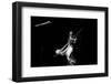 Regina Carter, Ronnie Scott's, Soho, London, October, 2000-Brian O'Connor-Framed Photographic Print