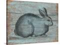 Stretched Canvas