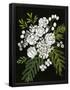 Essential Black