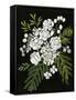 Canvas Black