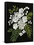 Canvas Black