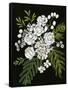 Canvas Black
