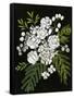 Canvas Black