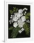 Gramercy White