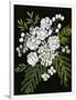 Gramercy White