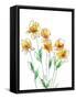 Framed Canvas