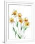 Gramercy White