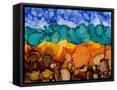Framed Canvas