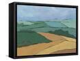 Framed Canvas