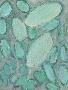 Just the Print